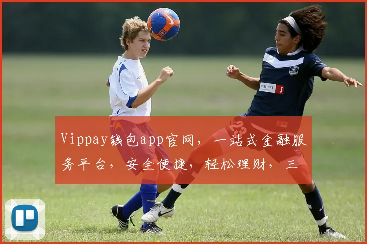 Vippay钱包app官网，一站式金融服务平台，安全便捷，轻松理财，三重保障，值得信赖
