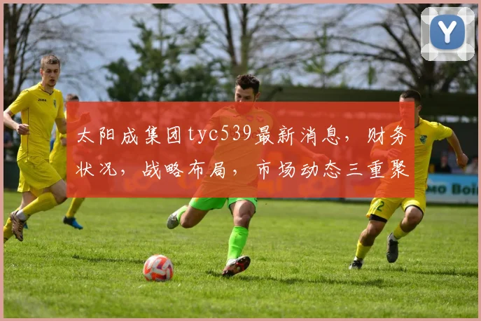 太阳成集团tyc539最新消息，财务状况，战略布局，市场动态三重聚焦